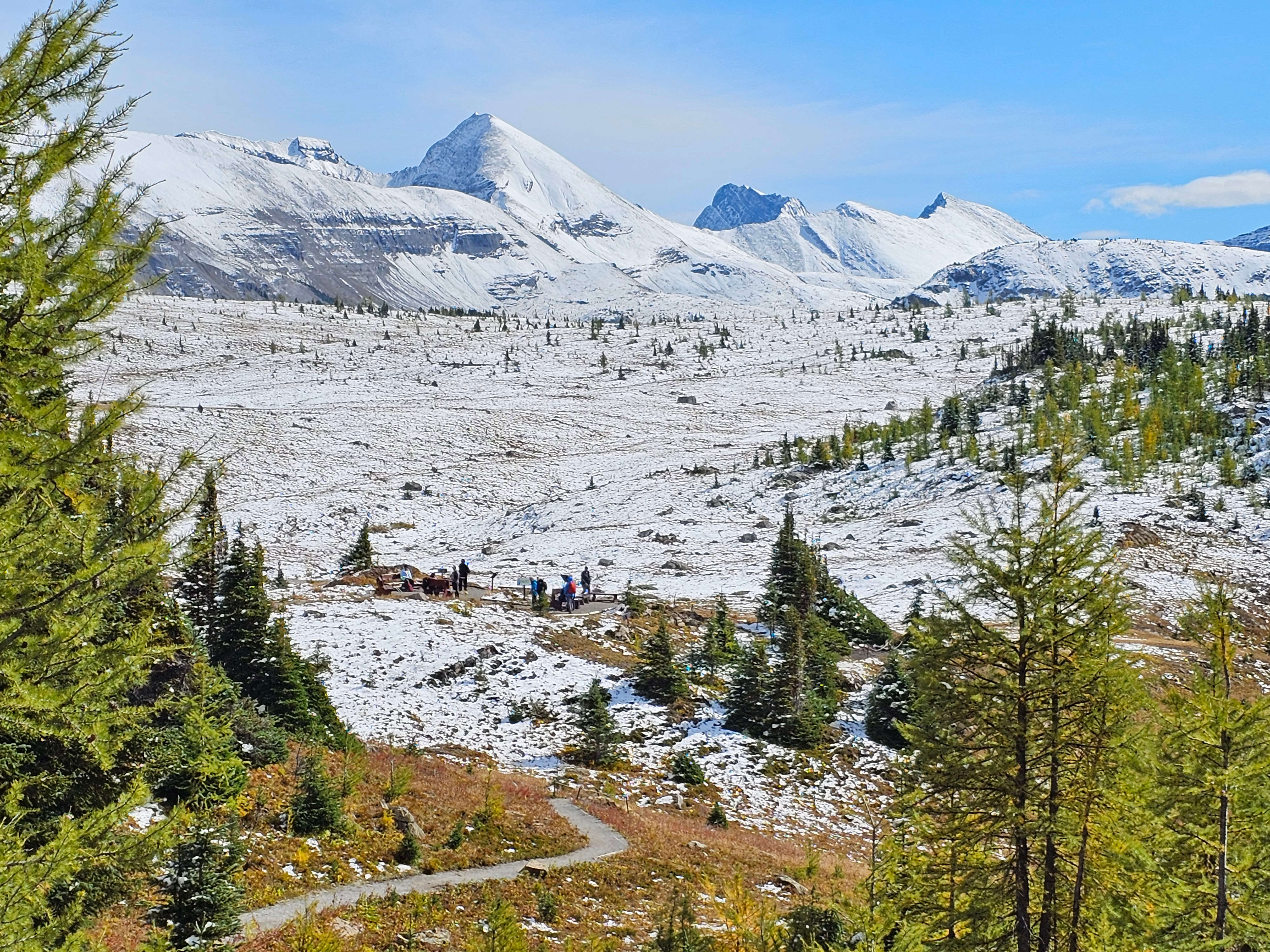 Sunshine Meadows